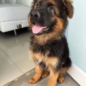 Chloe