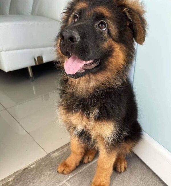 Chloe