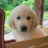 Bruno - Image 5