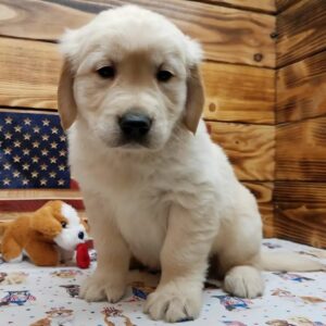 Charlie
