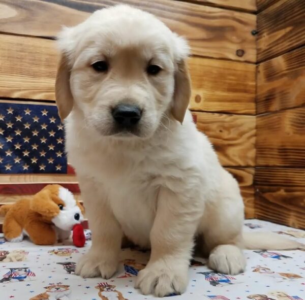 Charlie