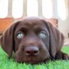 Zeus - Image 3