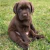 Zeus - Image 2