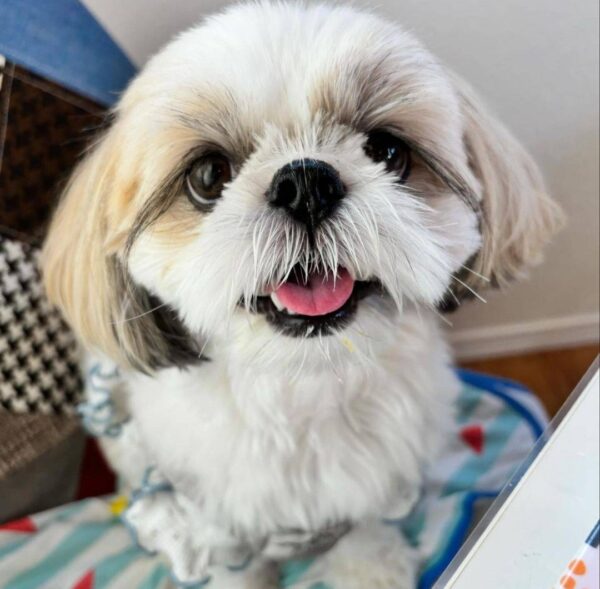 Casper