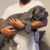 Baxter2 - Image 2
