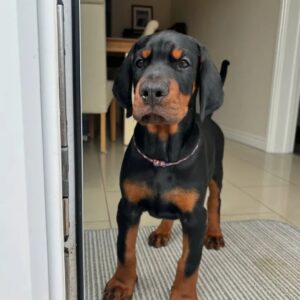 Fiona