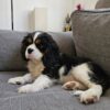 Rita - Image 3