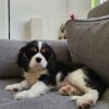 Rita - Image 2