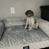 Finn2 - Image 2