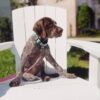 Ruby2 - Image 4
