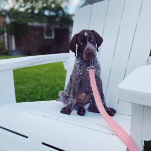Ruby2